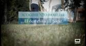 Acogimiento familiar: el derecho a un hogar
