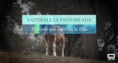 Héroes Anónimos; naturaleza pastoreada. Pastoras que cultivan (08/12/2024)