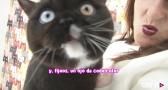 ¿A qué edad se castra a los gatos? Con Mica e Isis, dos gatas scottish fold