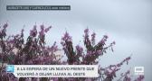Previsión del tiempo - 14/04/25
