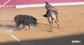 Novillada mixta desde Puertollano (27/04/2025)