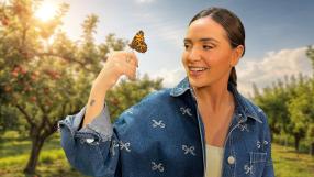 Los insectos están desapareciendo a un ritmo alarmante en Europa, afectando la biodiversidad y la producción agrícola. El 90% de los frutales depende de los polinizadores, pero el cambio climático, la explotación de la tierra y los pesticidas están causando su declive. Abejorros y mariposas son algunas de las especies más afectadas. Su extinción podría tener graves consecuencias para los ecosistemas y la economía.