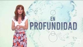 En Profundidad (26/04/2025)