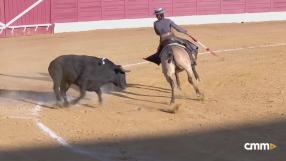 Novillada mixta desde Puertollano (27/04/2025)