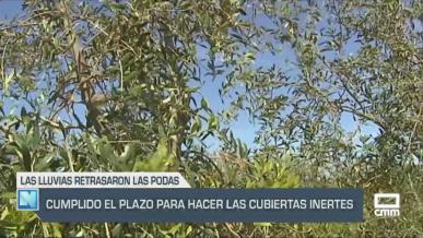 Cumplido el plazo para hacer las cubiertas inertes - 16/04/25