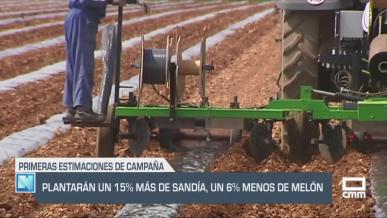 Plantarán un 15 % más de sandía, un 6 % menos de melón - 23/04/25